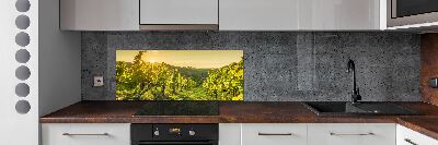 Cooker splashback Vineyard