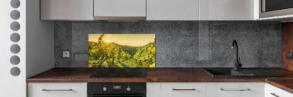 Cooker splashback Vineyard