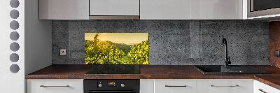 Cooker splashback Vineyard