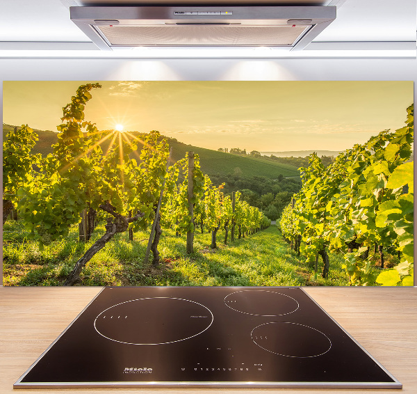 Cooker splashback Vineyard