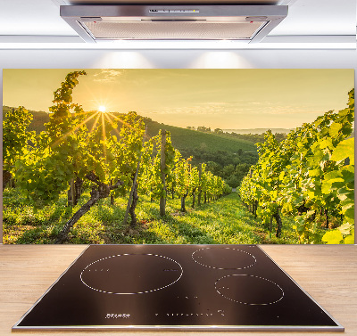 Cooker splashback Vineyard