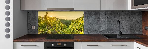 Cooker splashback Vineyard