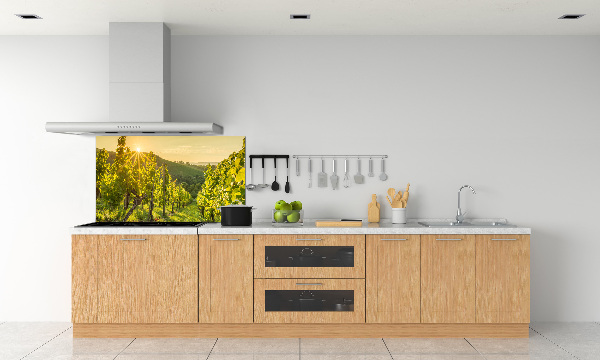 Cooker splashback Vineyard