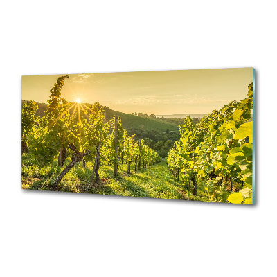 Cooker splashback Vineyard