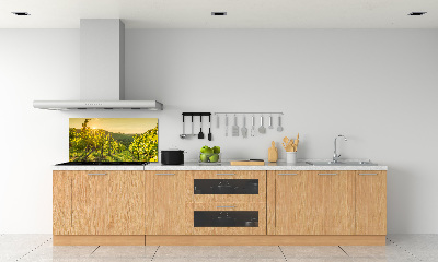 Cooker splashback Vineyard