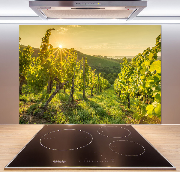 Cooker splashback Vineyard