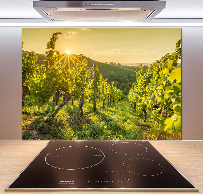 Cooker splashback Vineyard