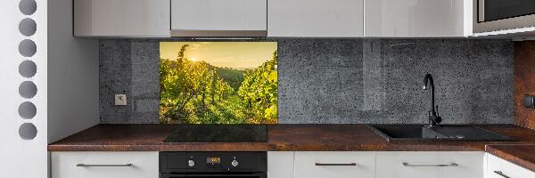 Cooker splashback Vineyard