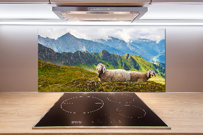 Cooker splashback Sheep in the Alps