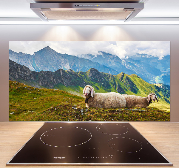 Cooker splashback Sheep in the Alps