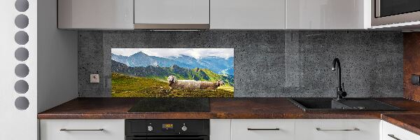 Cooker splashback Sheep in the Alps