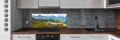 Cooker splashback Sheep in the Alps