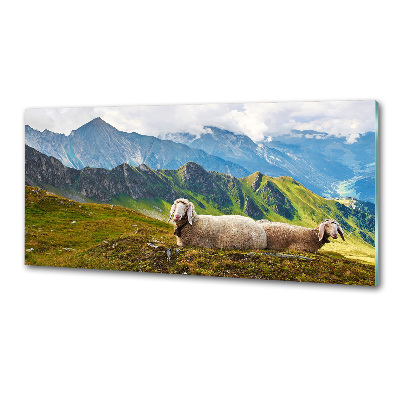 Cooker splashback Sheep in the Alps