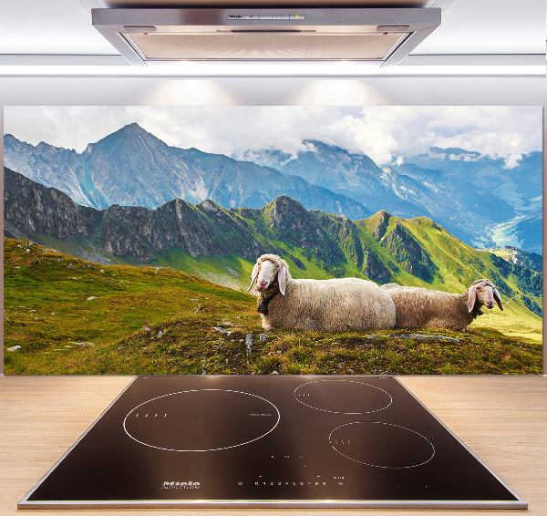 Cooker splashback Sheep in the Alps