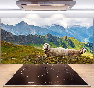 Cooker splashback Sheep in the Alps