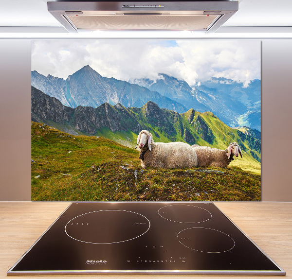 Cooker splashback Sheep in the Alps