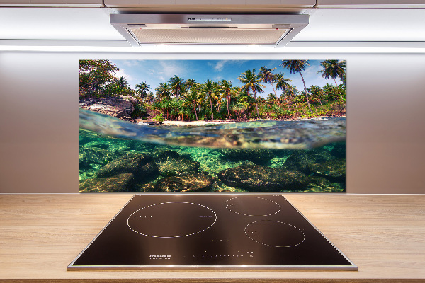 Kitchen splashback Tropical beach