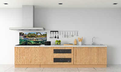 Kitchen splashback Tropical beach