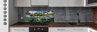 Kitchen splashback Tropical beach