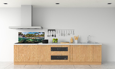 Kitchen splashback Tropical beach