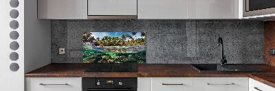 Kitchen splashback Tropical beach