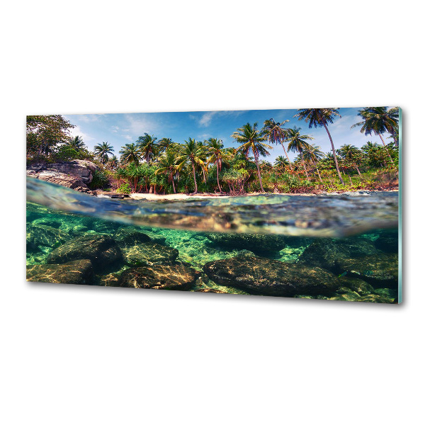 Kitchen splashback Tropical beach