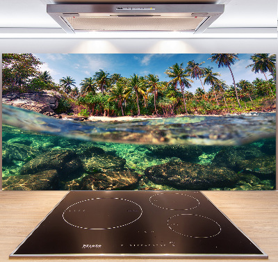 Kitchen splashback Tropical beach