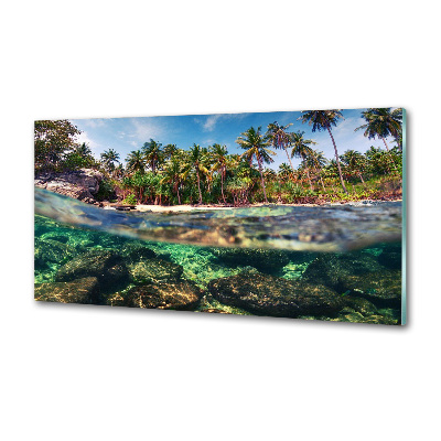 Kitchen splashback Tropical beach