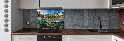 Kitchen splashback Tropical beach