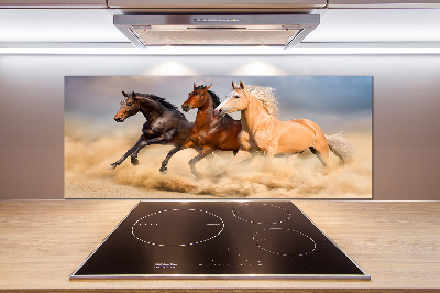 Cooker splashback Horses at gallop