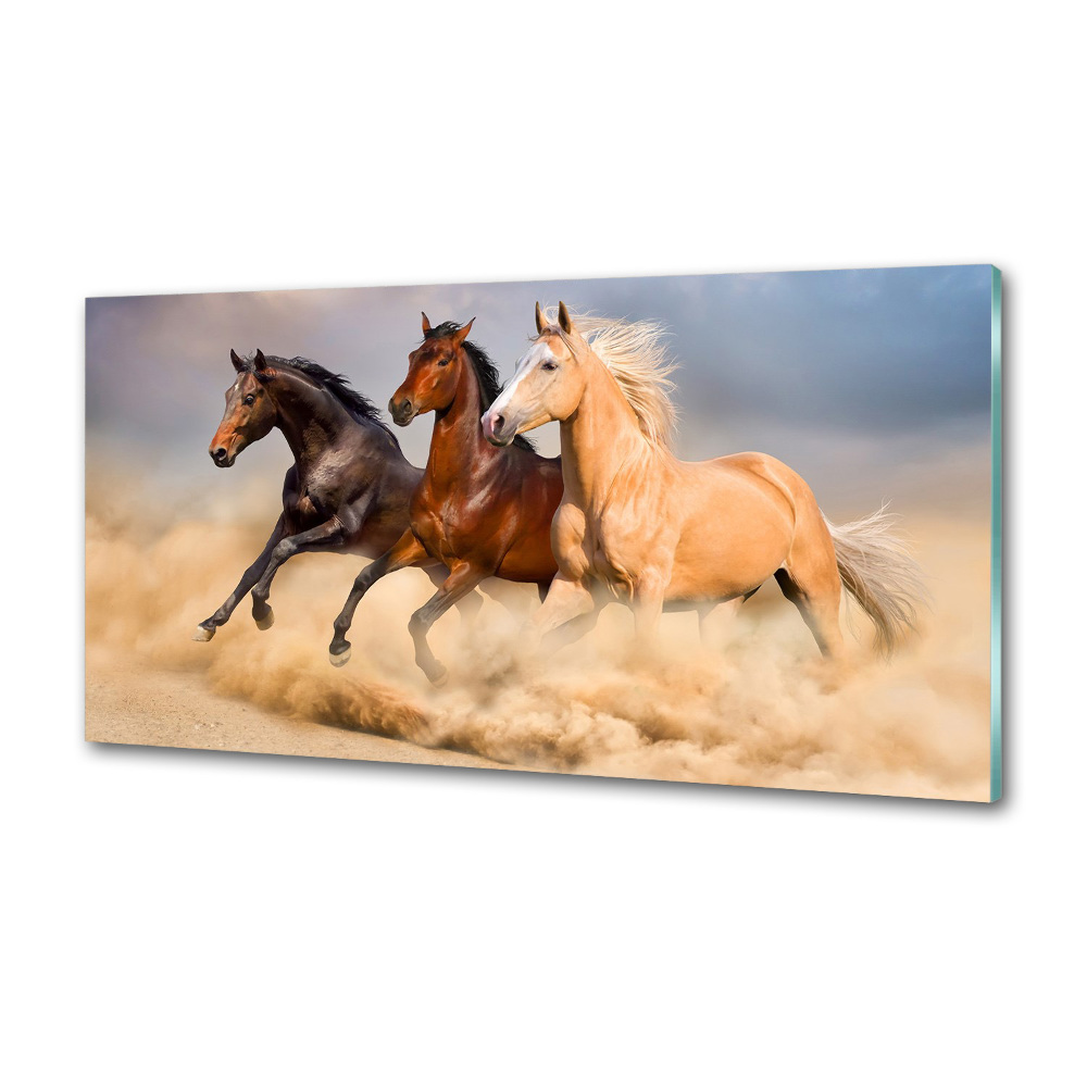 Cooker splashback Horses at gallop