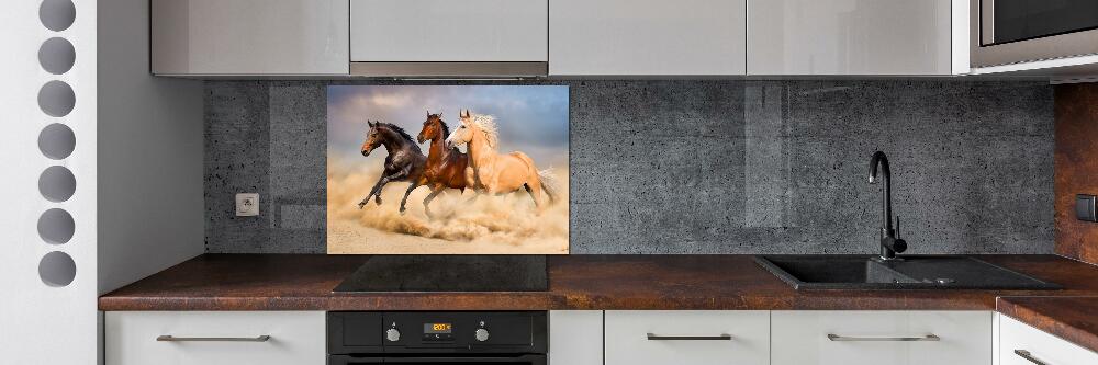 Cooker splashback Horses at gallop