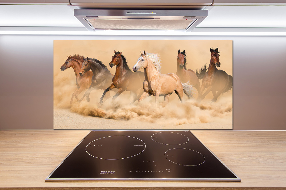 Cooker splashback Desert's horses