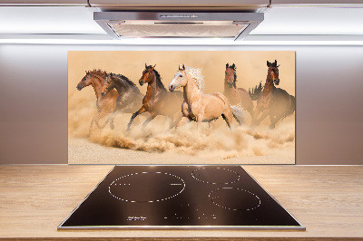 Cooker splashback Desert's horses