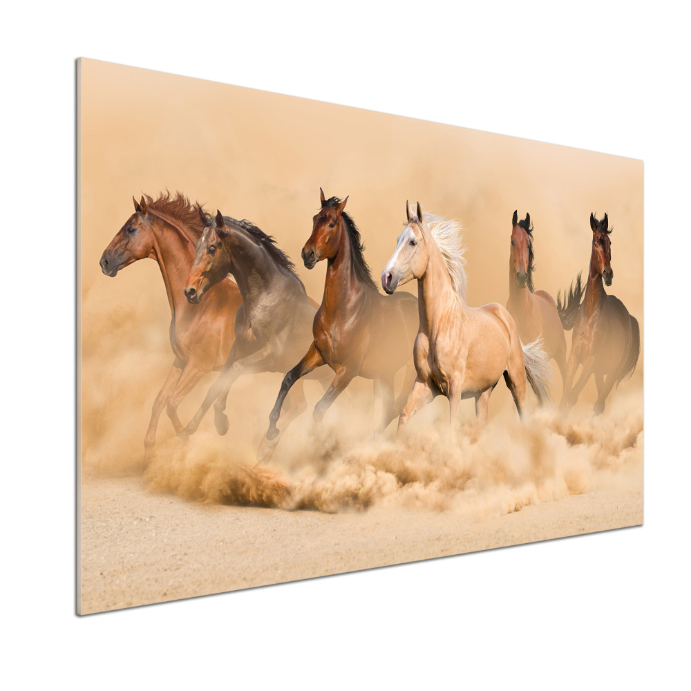 Cooker splashback Desert's horses