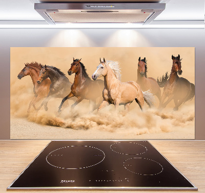 Cooker splashback Desert's horses