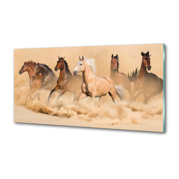 Cooker splashback Desert's horses