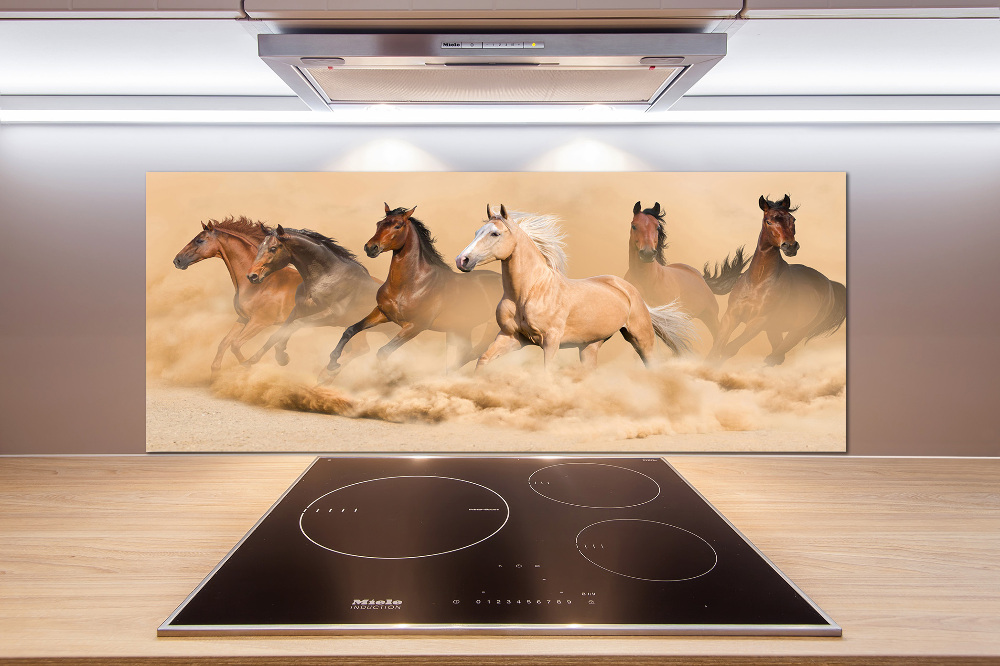 Cooker splashback Desert's horses