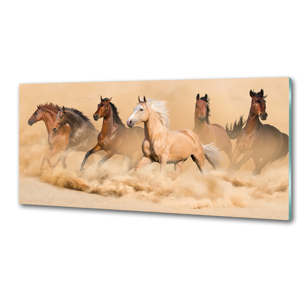 Cooker splashback Desert's horses