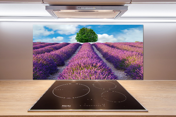 Kitchen splashback Lavender field