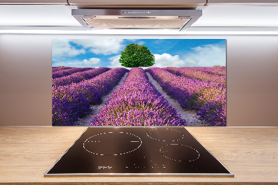 Kitchen splashback Lavender field