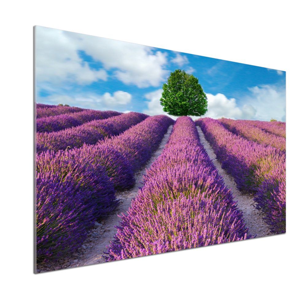 Kitchen splashback Lavender field