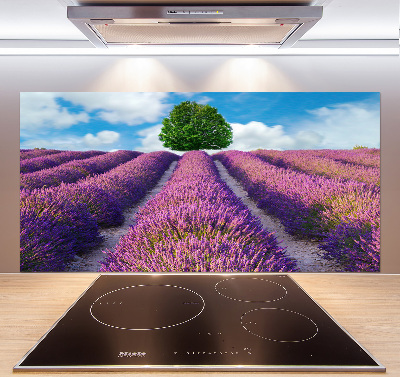 Kitchen splashback Lavender field