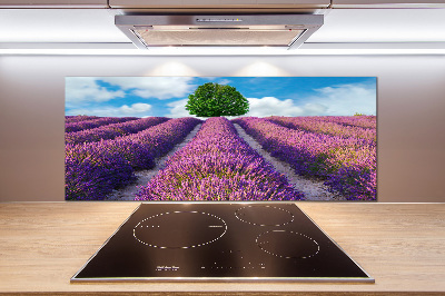 Kitchen splashback Lavender field