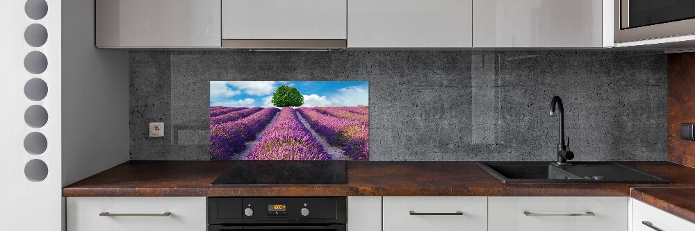 Kitchen splashback Lavender field