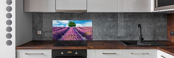 Kitchen splashback Lavender field