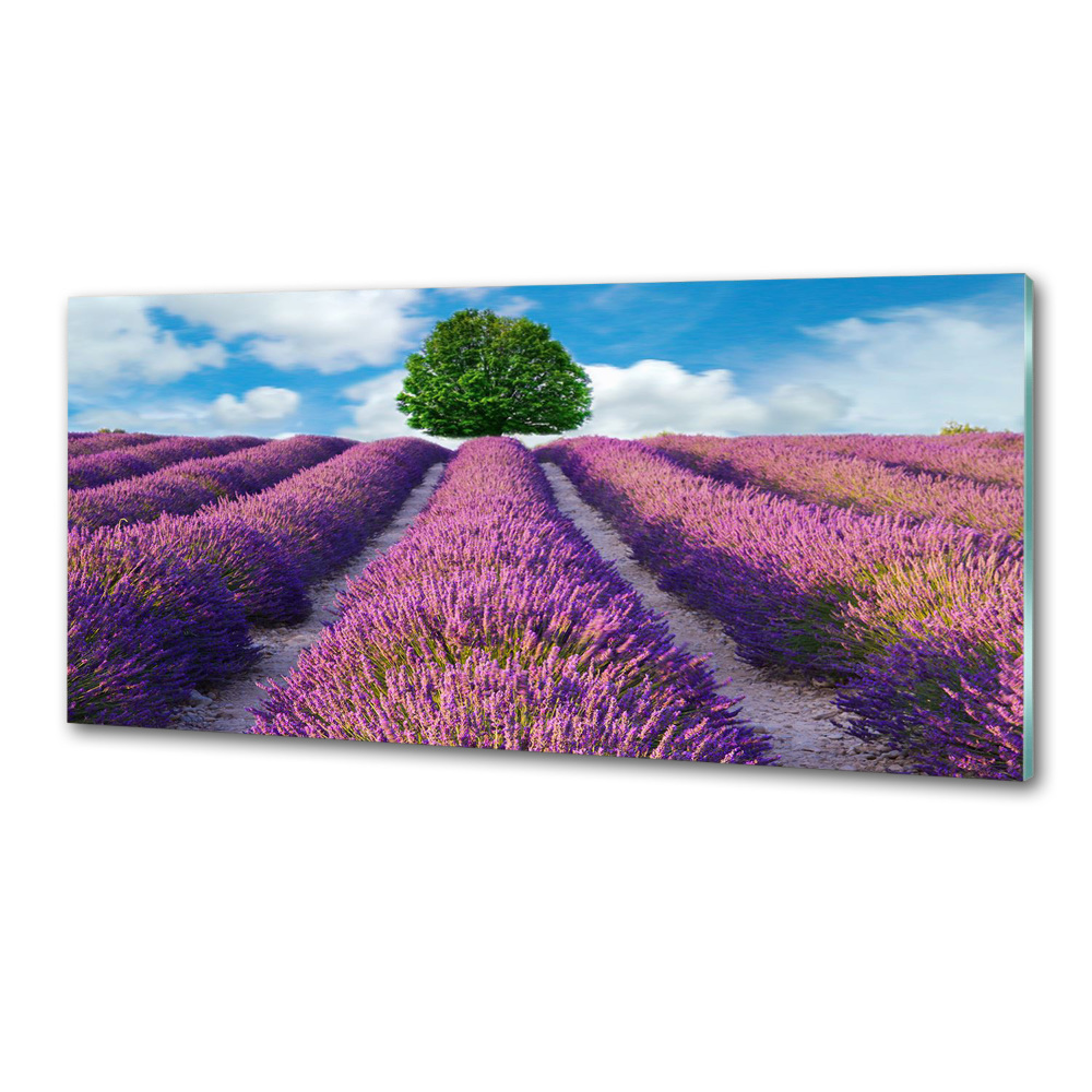 Kitchen splashback Lavender field