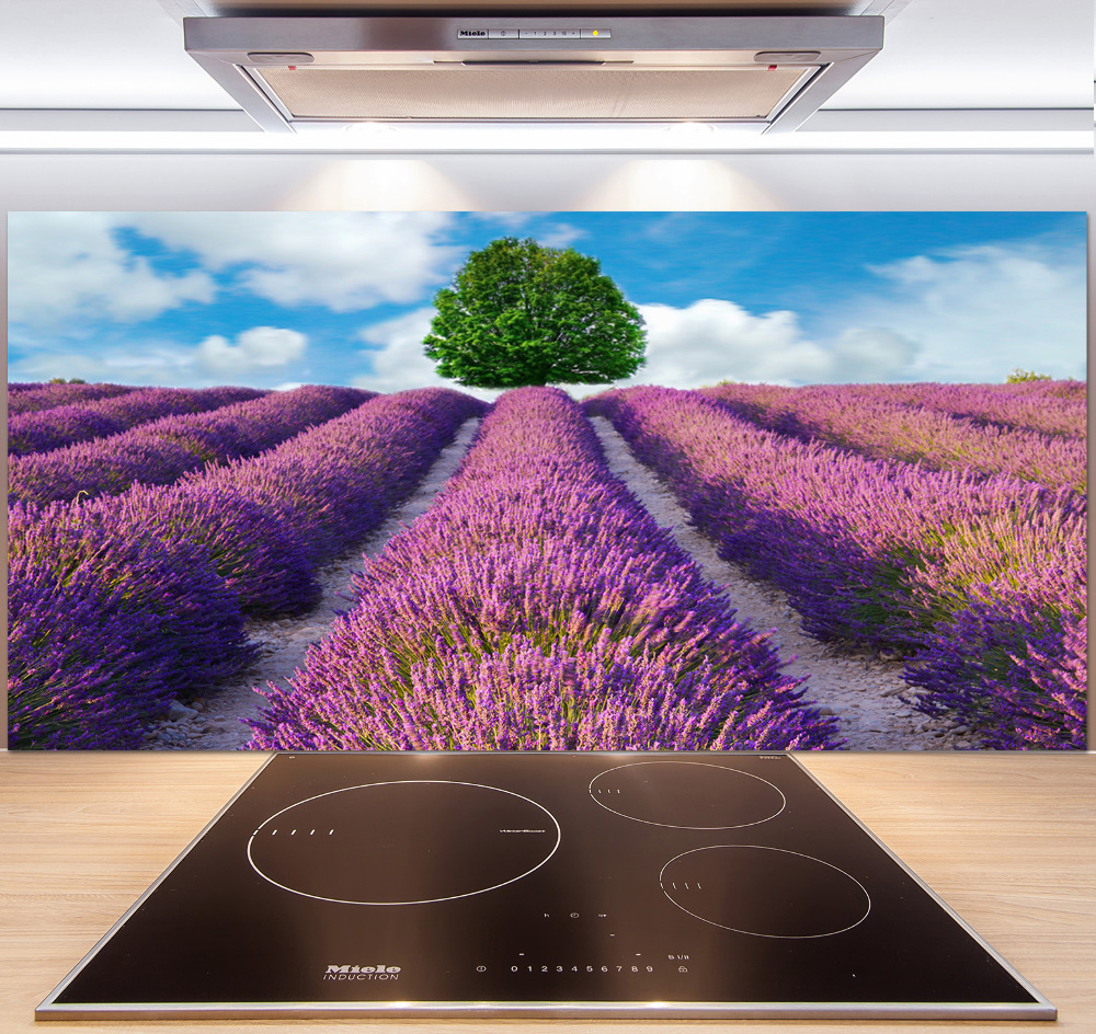 Kitchen splashback Lavender field