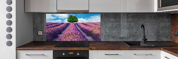 Kitchen splashback Lavender field