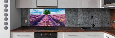 Kitchen splashback Lavender field